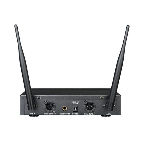 Takstar TS-3310UH Wireless Microphone (雙無綫手持咪系統) - Image 2