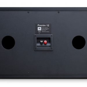 Alternative view of JBL Pasion 12 passive karaoke speaker