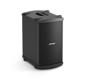 Bose B2 bass module